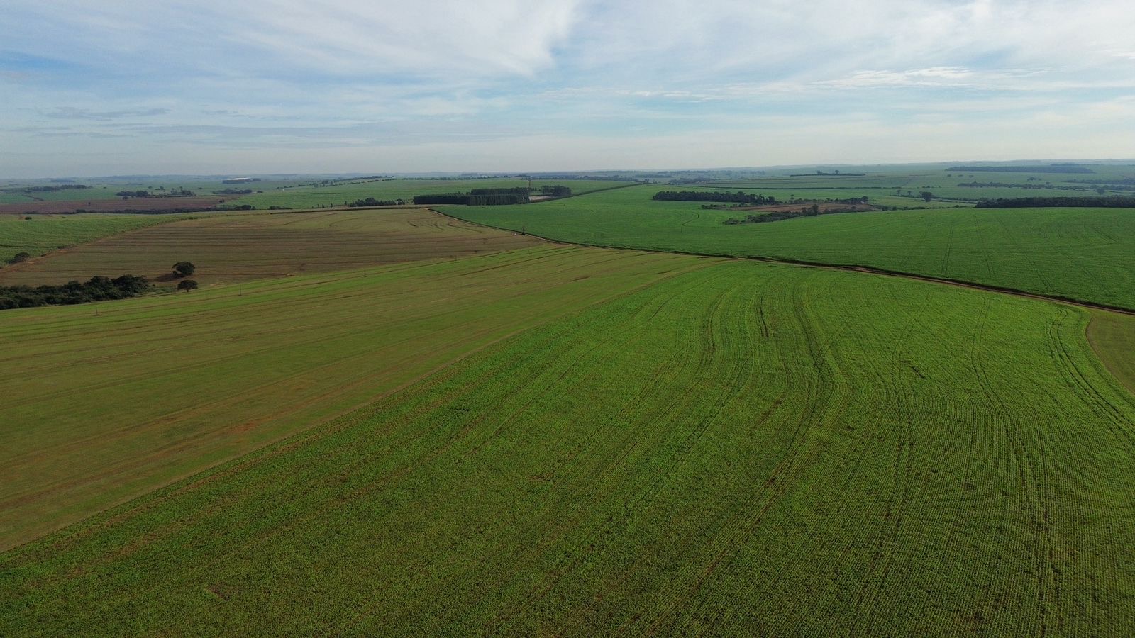 101